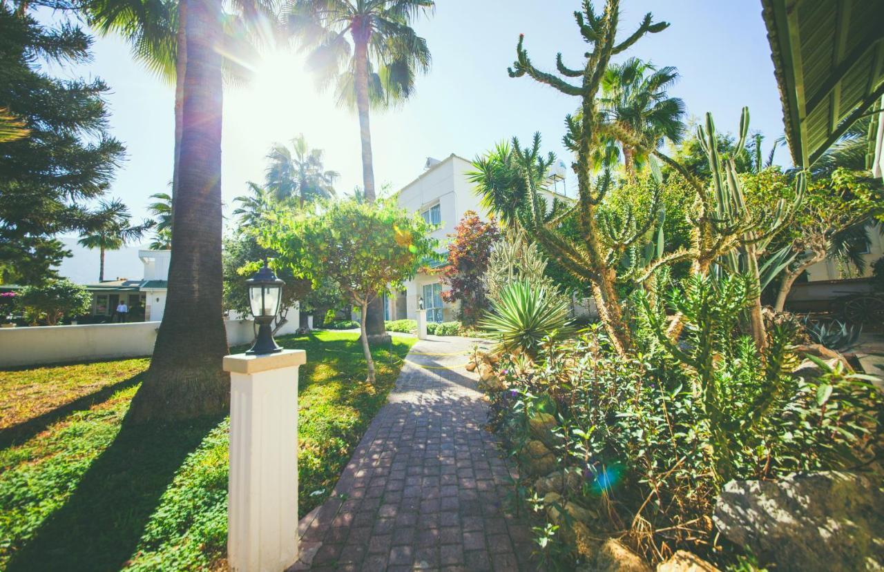 Hotel Pine Bay Club (Adults Only) Karavas  Exterior photo